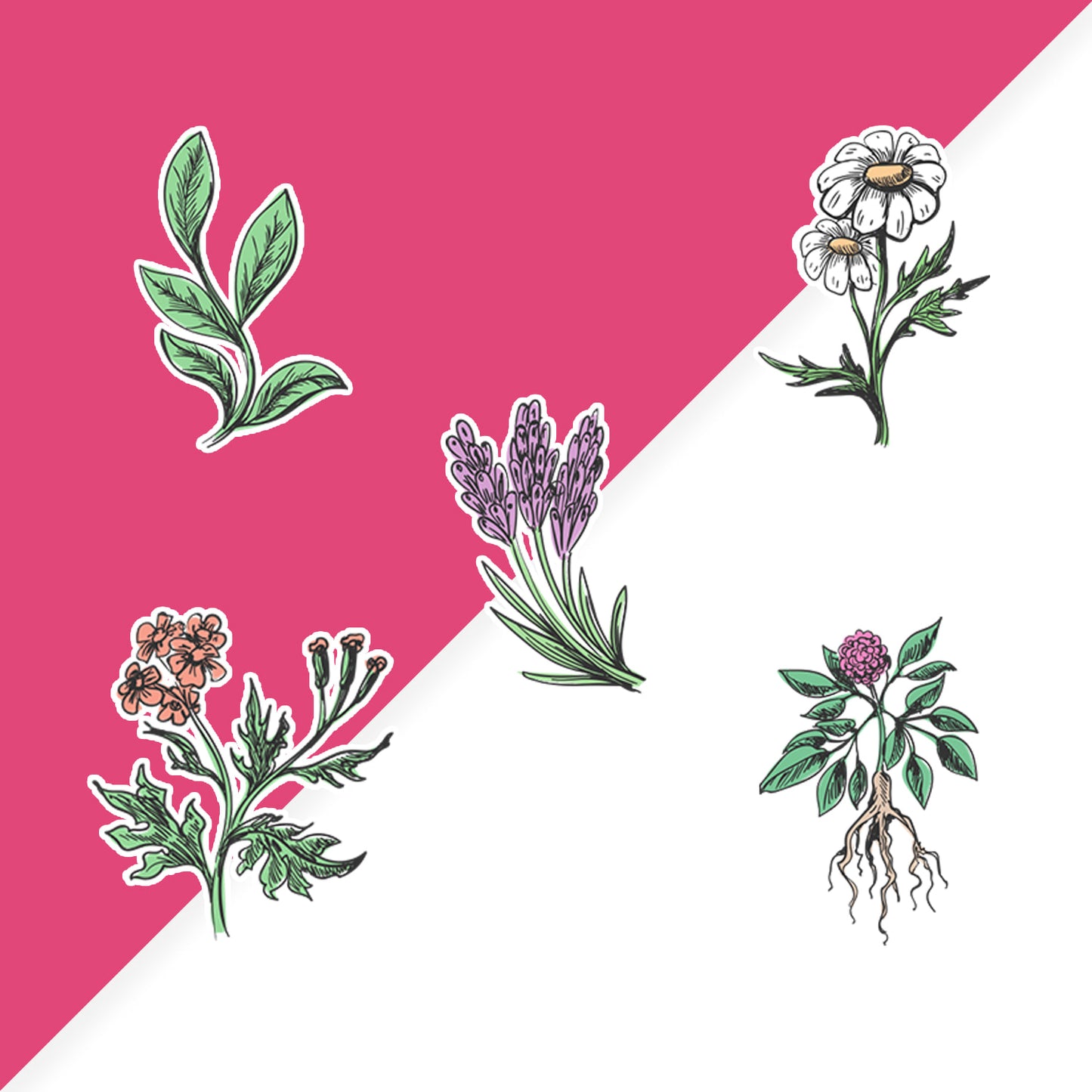 Botanical Sticker Sheet