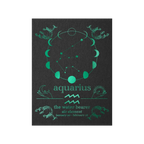 Aquarius Zodiac Foil Print