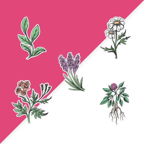 Botanical Sticker Sheet